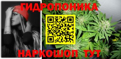a pvp Набережные Челны
