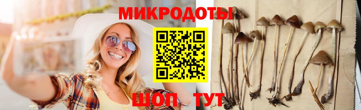 Галлюциногенные грибы мухоморы Выборг